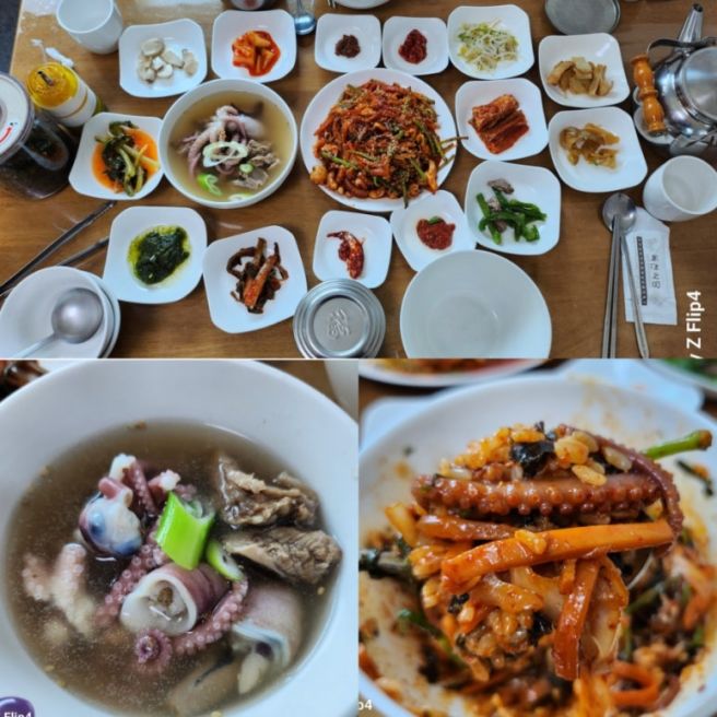 전남영암 낙지거리 독천식당 갈낙탕 낙지볶음맛집