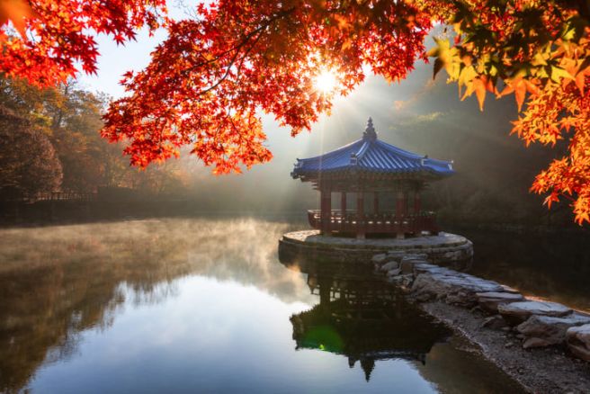 ��� �̹���