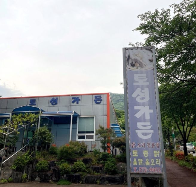 화순맛집 추천 20년 단골 찐맛집 ‘토성가든’ 토종닭 백숙 후기