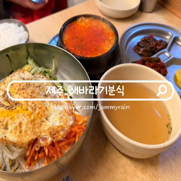 제주 해바라기분식 본점 한식당 순두부찌개 맛집