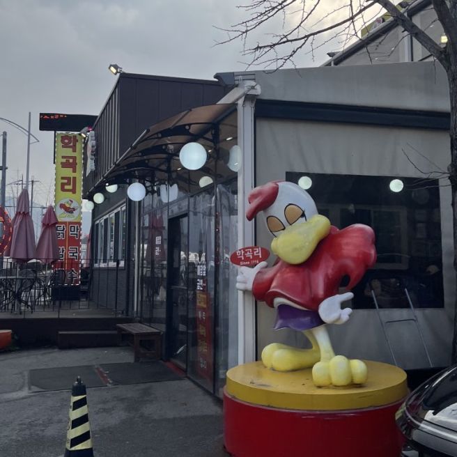 춘천 주말웨이팅필수 닭갈비맛집 학곡리막국수닭갈비
