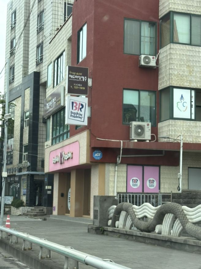 [26.04.19] 제주 여행 3일차 ::: 제주 동쪽 투어...오드랑 베이커리, 비자림, 소라횟집, 돌담통닭 등)