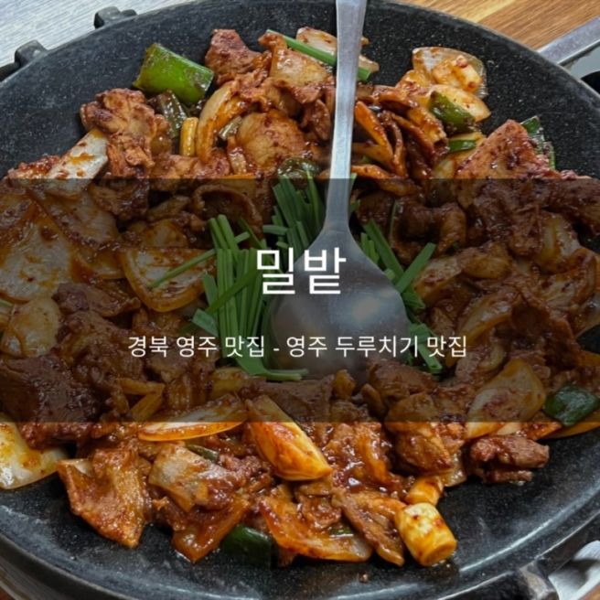 [경북 영주] 밀밭: 현지인 인정한 두루치기 맛집, 볶음밥까지 완벽했던 코스 (내돈내산 후기)