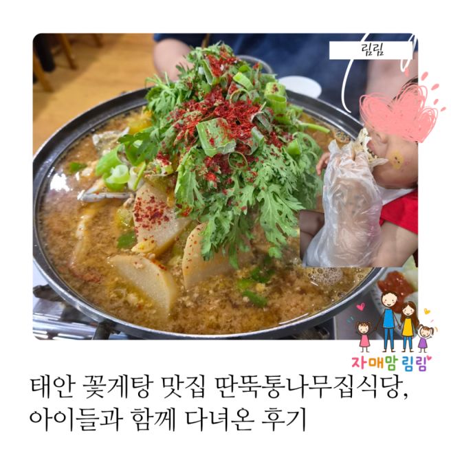 태안 꽃게탕 맛집 딴뚝통나무집식당, 아이들과 함께 다녀온 후기