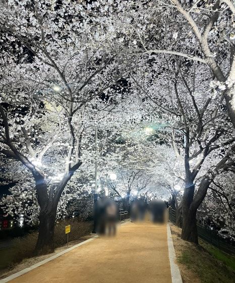 영주 꼭 먹어봐야 하는 현지인 맛집_불소한우숯불