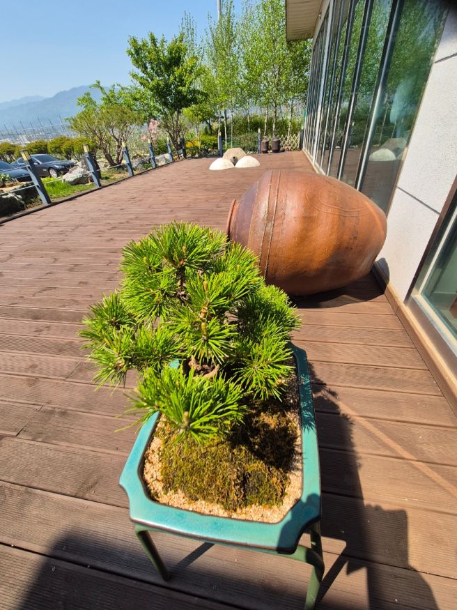 영주 풍기 한정식 맛집 안심식당 "삼뜨락 한정식"