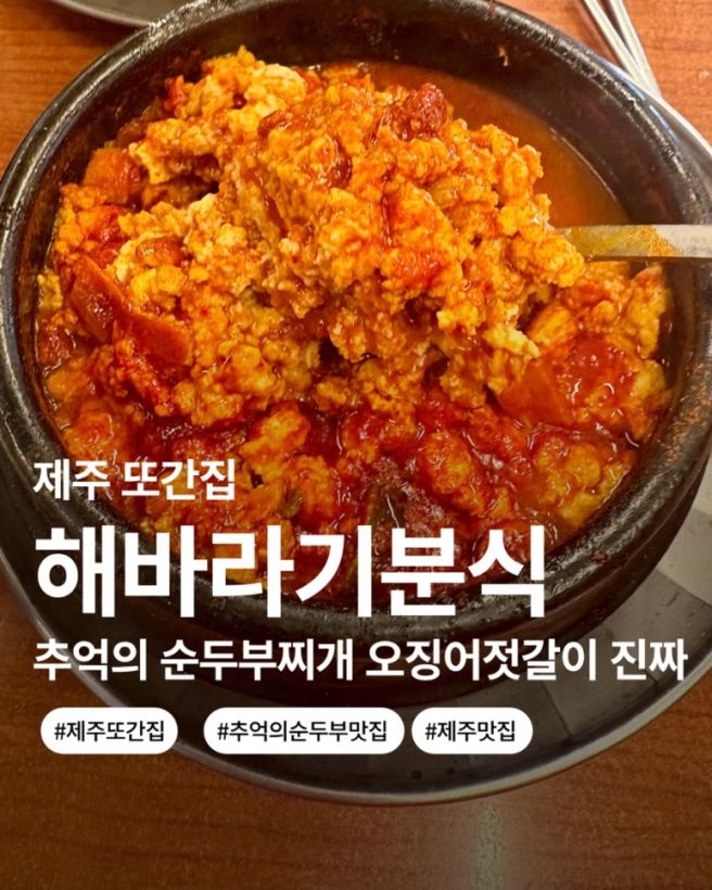 제주 또간집 해바라기본점｜추억의 순두부찌개 오징어젓갈이 진짜