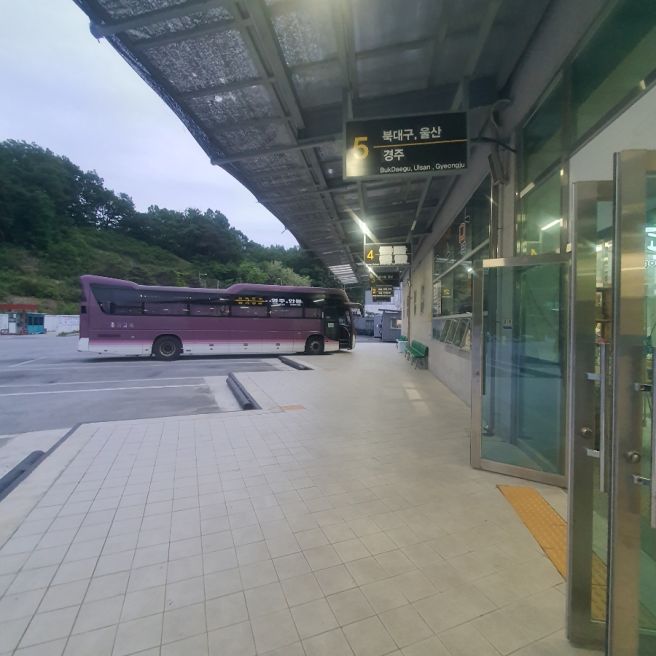 경북 영주종합 터미널 예매 시간표안내 :: 고구맘카페 파이선물세트