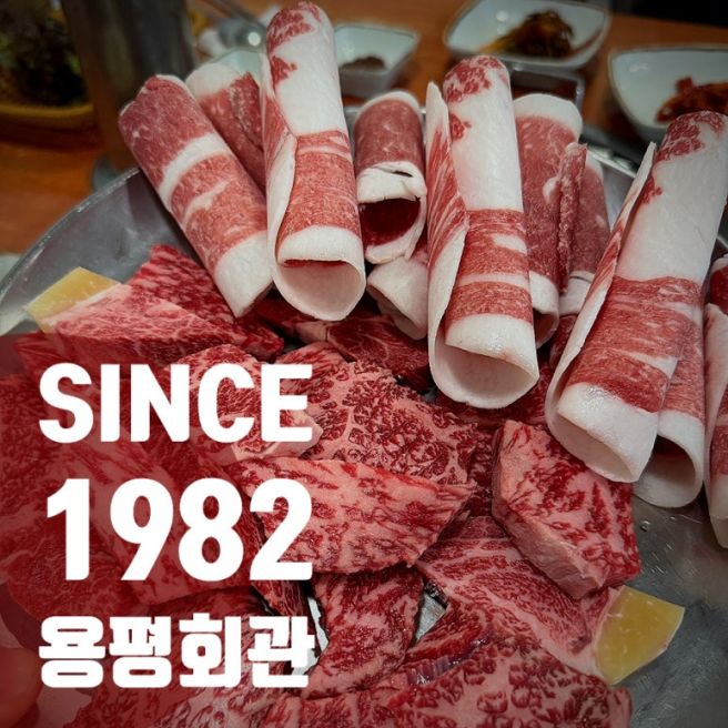 [ 강원도 모나용평] 평창한우 40년 맛집 용평회관