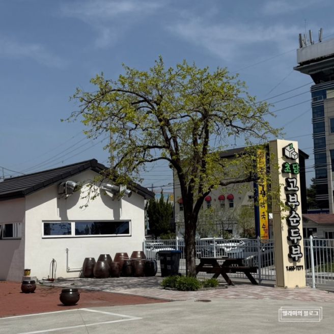강릉 아침식사 밥집 초당고부순두부 메뉴 및 주차 정보