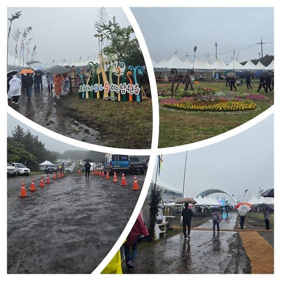 제주여행 5 -고사리 축제·물영아리 오름ㆍ전농노 북경반점