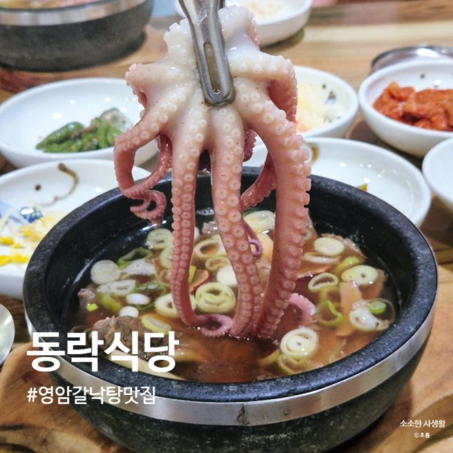 영암 갈낙탕 맛집 동락식당 월출산 등산 후 몸보신 제대로