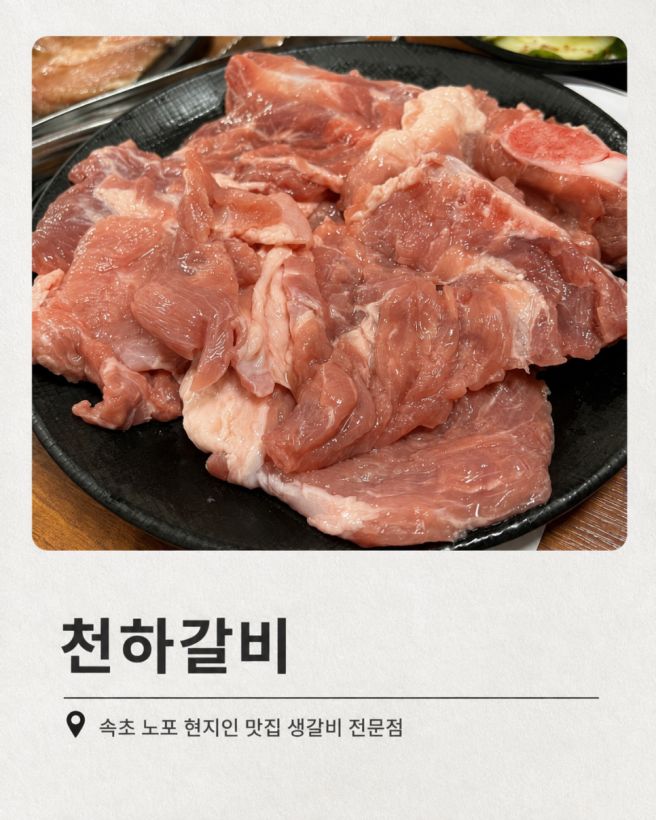 속초 돼지갈비 맛집 40년된 노포 맛집 천하갈비 내돈내산 후기