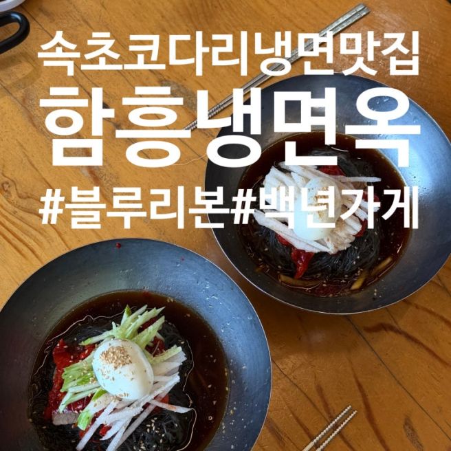 속초코다리냉면 함흥냉면옥, 속초중앙시장 근처 블루리본 맛집 추천