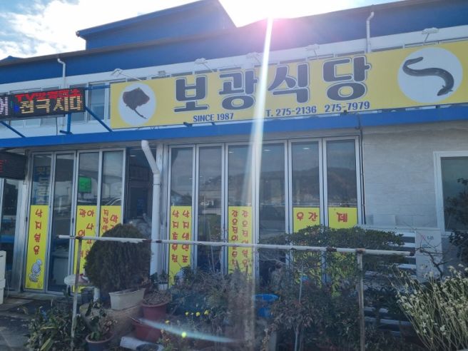 신안군 도초면 보광식당