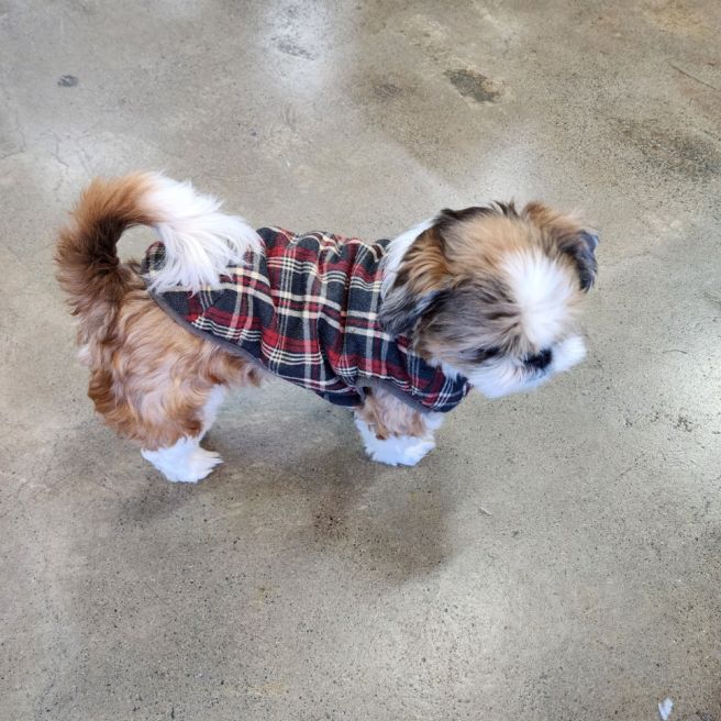 경주 한정식 맛집 아침,점심 줄서먹는 원조떡갈비