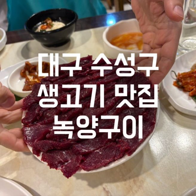 대구 수성구 맛집 생고기 맛집 녹양구이 두산동점: 뭉티기 생고기 가족 외식 솔직 후기