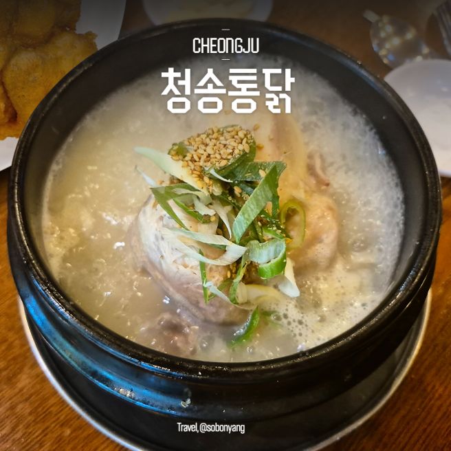 청주 청송통닭 블루리본 맛집 성안길 삼계탕 옛날통닭