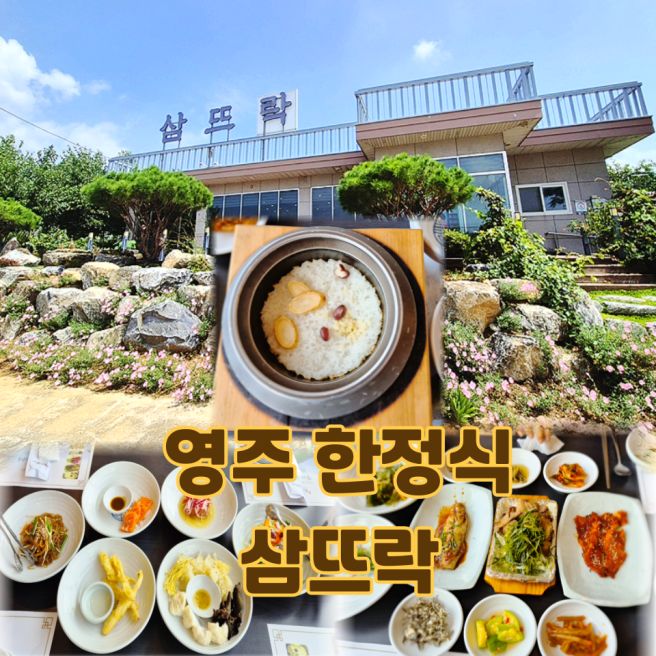 경북 영주 삼뜨락 영주 풍기 인삼 한정식 맛집 삼뜨락 후기