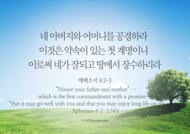 Daum 카페