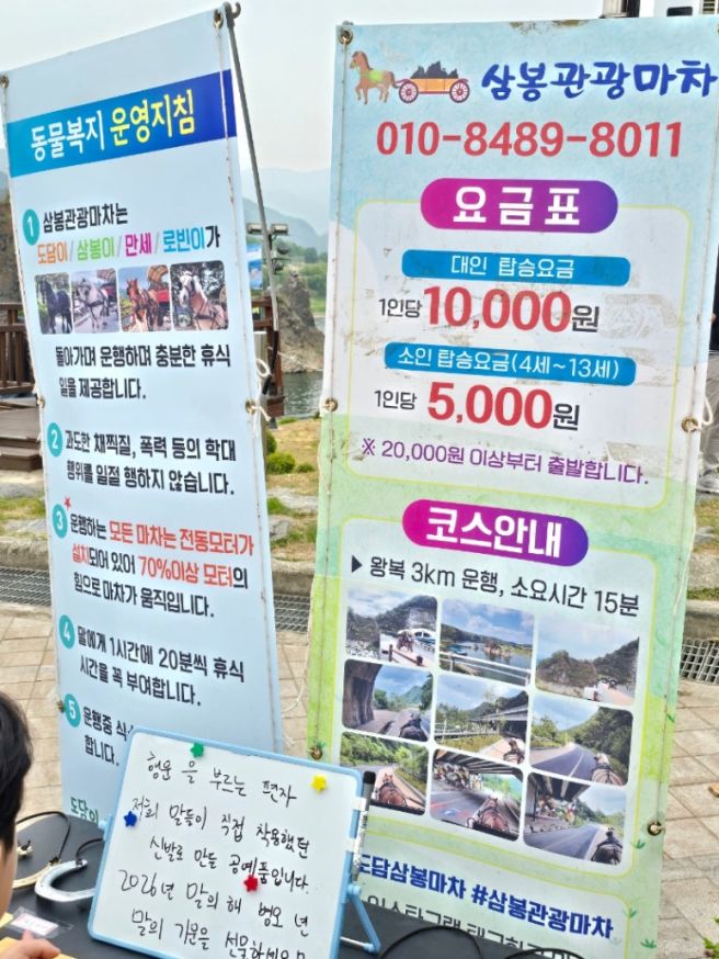 단양 1박 2일 여행❤️금강식당, 카페산, 장다리식당, 도담삼봉 말타기