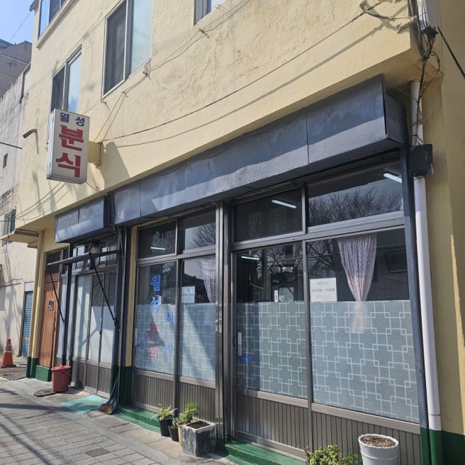 경주여행 황리단길 금리단길 근처 로컬 집밥 맛집 월성분식