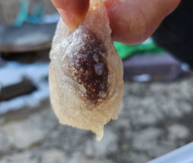 강릉 감자떡, 감자송편 맛집 강릉감자옹심 강릉본점 | 감자송편 현지인 찐맛집