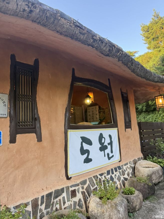 월악산유스호스텔 맛집 도원가든 삼계탕 그리고 2차는 송림 송어회