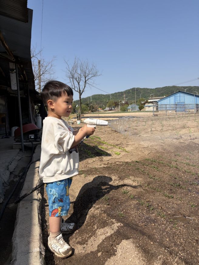 철원 맛집, 외할머니댁 갈때마다 들리는 철원막국수
