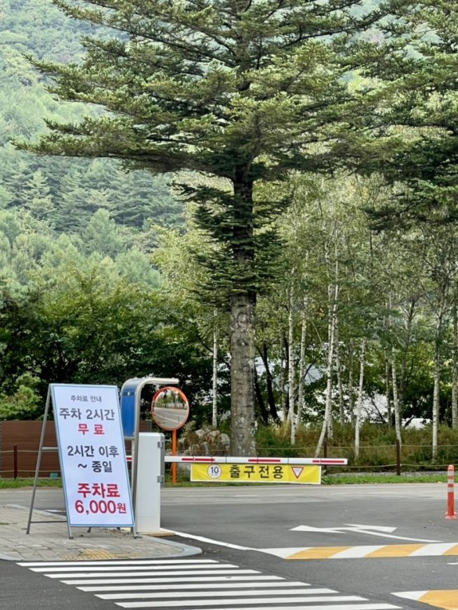 평창 오대산 월정사 맛집ㅣ오대산 산촌 산채비빔밥 한우소고기육전 아침식사 추천