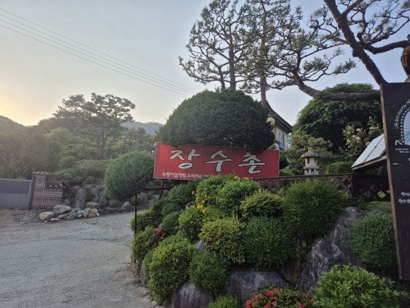 용인 수지 맛집 장수촌 누룽지백숙 한 숟갈만으로 중독 되는 이유