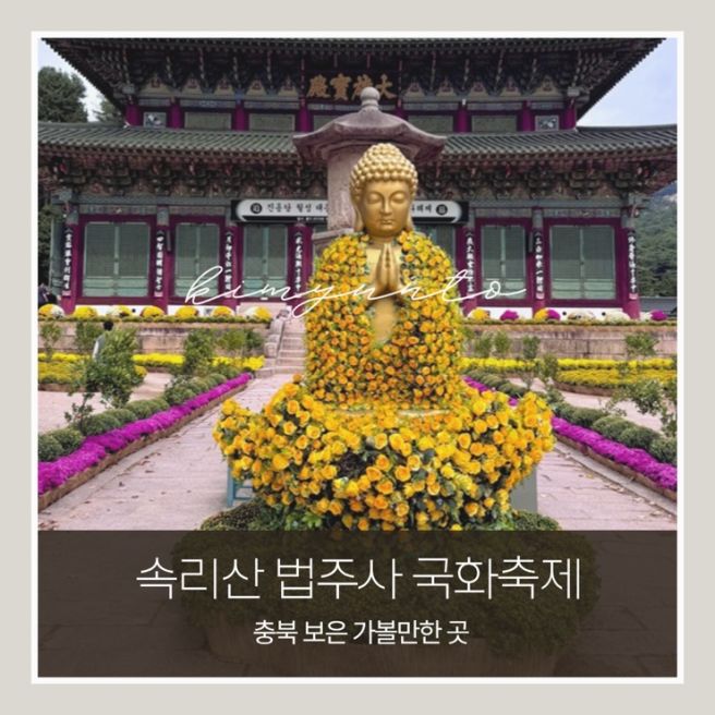 충북 보은 가을축제 속리산 법주사 국화축제｜일정·주차정보, 축제 시작 전 다녀온 후기