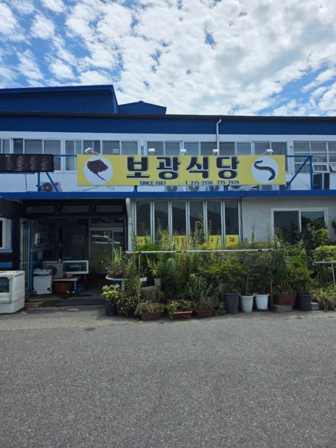 [여름휴가 5탄] 비금도·도초도 식도락 여행! 보광식당 간재미무침부터 맛집 투어