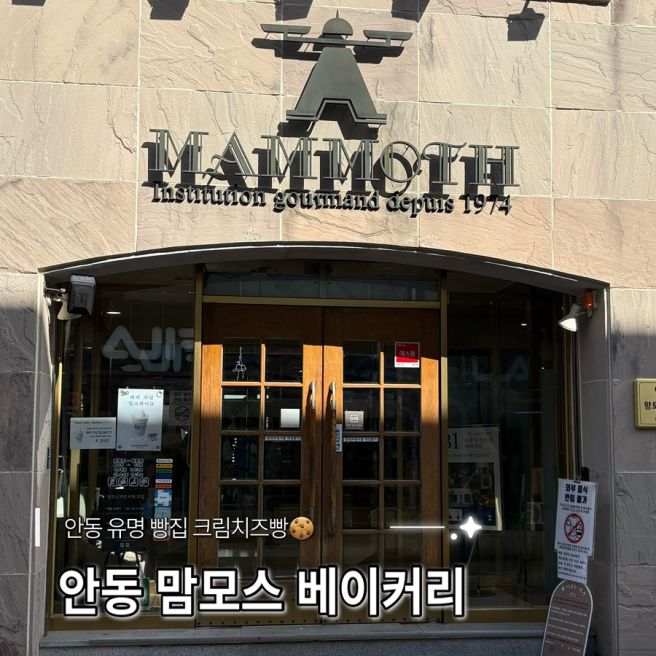 안동 필수 코스! 맘모스베이커리 크림치즈빵 후기 (빵 나오는 시간, 가격 정보)