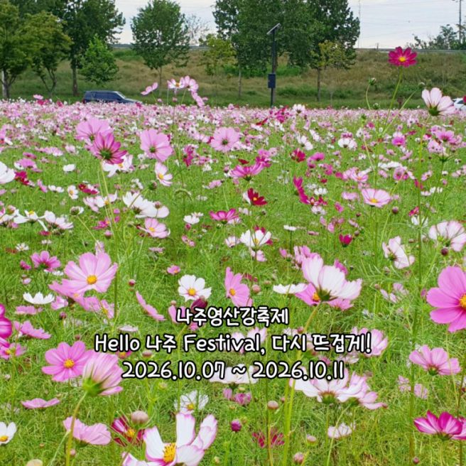 나주영산강축제 ㅣ 2026 전남소식 축제기간 주변 볼거리 먹거리