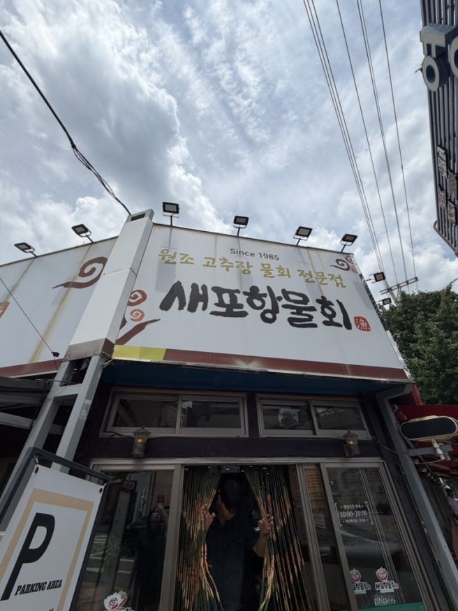 [포항] 새포항물회집, 육수 없는 진짜 포항식 물회를 먹고 왔어요! | 내돈내산