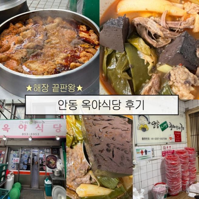 안동 맛집 옥야식당 선지국 내돈내산 포장 후기