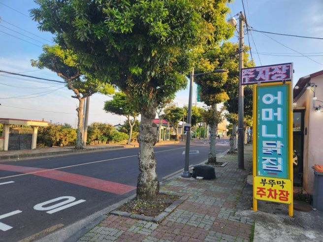 제주 서귀포 성산읍 현지인 치킨 맛집, "어머니닭집"