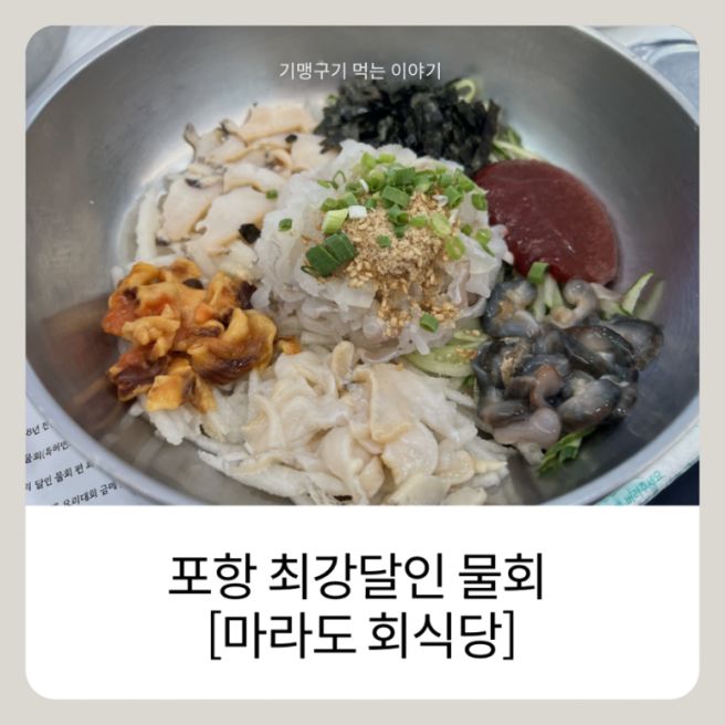 포항 물회맛집 마라도 회식당