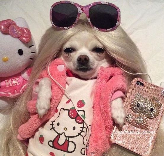 [영주]회맛집 회킬러를 위한 배달횟집 광어연어세트&amp;물회