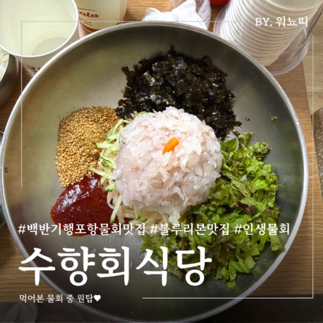 포항 물회 맛집 추천 내돈내산 블루리본 백반기행 죽도시장 수향회식당