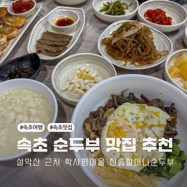 속초 짬뽕순두부 맛집 설악산 근처 학사평순두부마을 진솔할머니순두부