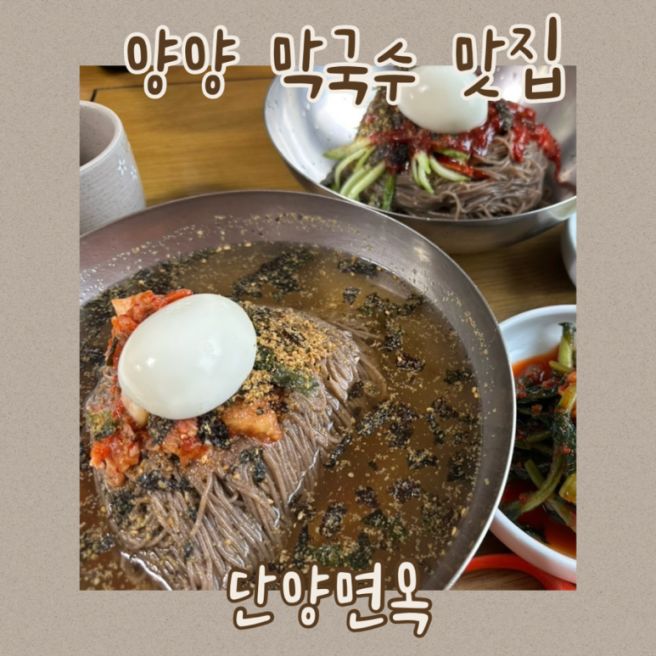 양양 막국수 맛집 단양면옥 회비빔막국수 물막국수 또 가고 싶은 곳