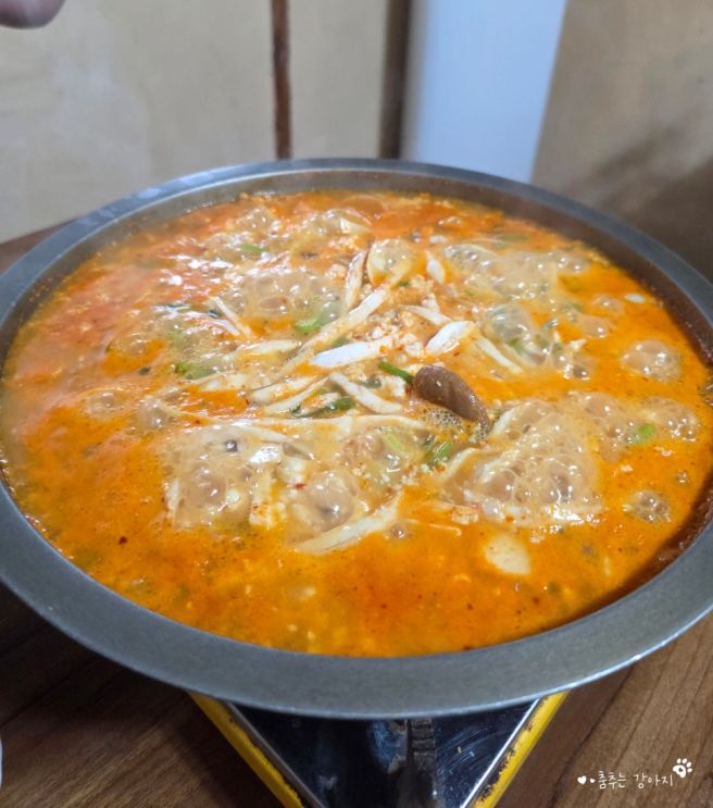 [강릉맛집] 강릉 전현무계획 노포 순두부맛집 초당토박이할머니순두부 청국장 솔직후기