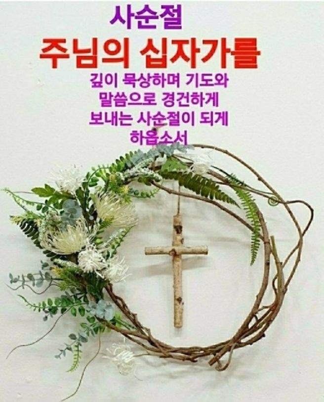 Daum 카페