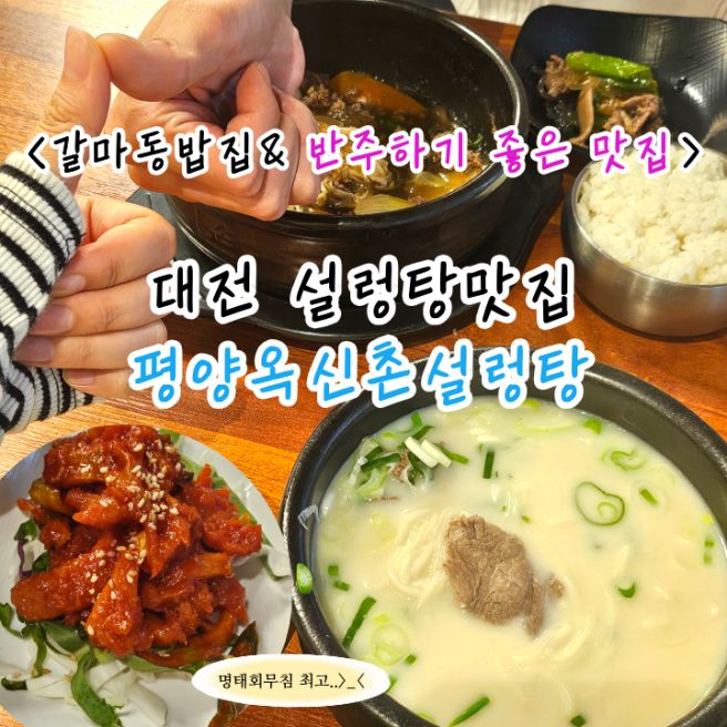 대전설렁탕 갈마동맛집 평양옥신촌설렁탕 반주하기 좋은 맛집 솔직후기!