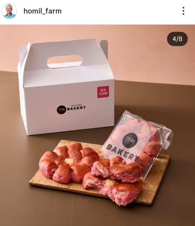 영천대표빵 영천작약꽃빵 APEC 성공개최기원 경주신라난전 백년가게 하눅베이커리 선정