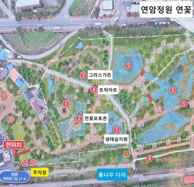 연암정원은 울산의 숨은 연꽃명소로 원연암마을에 핫플인 통나무다리 포토존