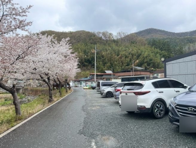 경산 [남천민물매운탕] 예약, 주차, 웨이팅 | 내돈내산