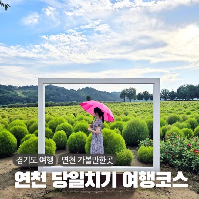 경기도 연천 당일치기 여행 코스 가을 가볼만한곳 모음